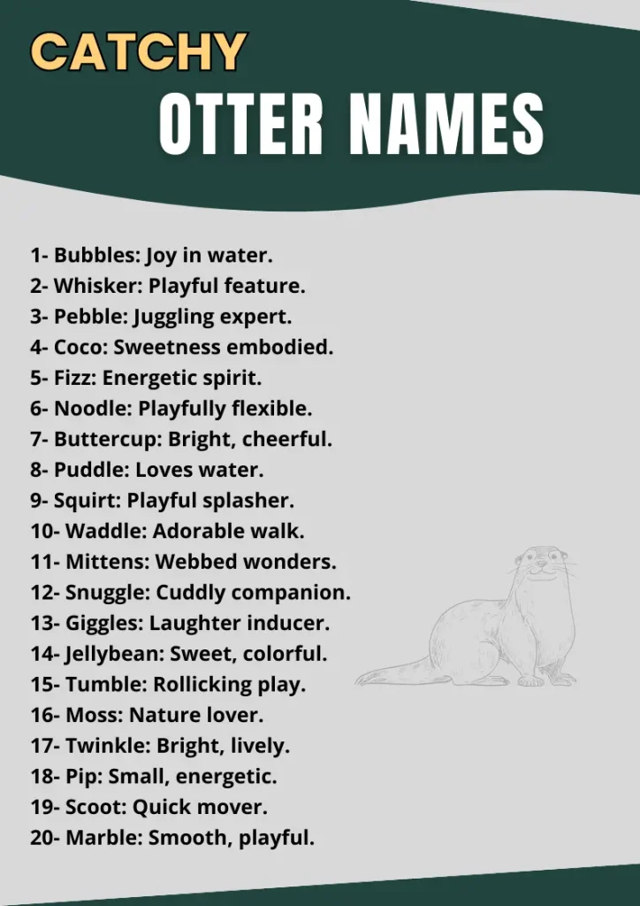 Catchy Otter Names infographic