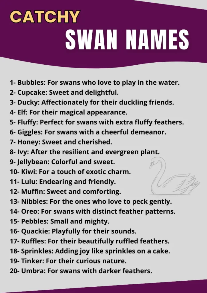Catchy Swan Names infographic