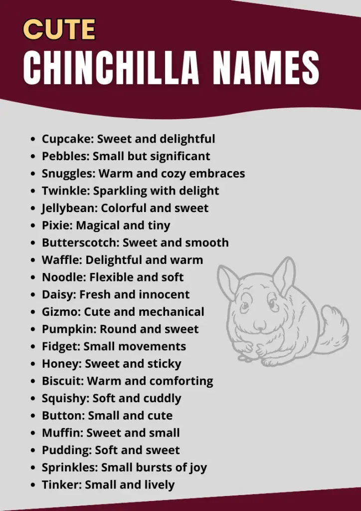 Chinchilla Names infographic