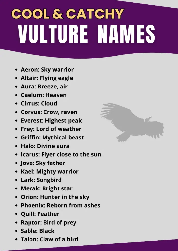 Cool & Catchy Vulture Names infographic