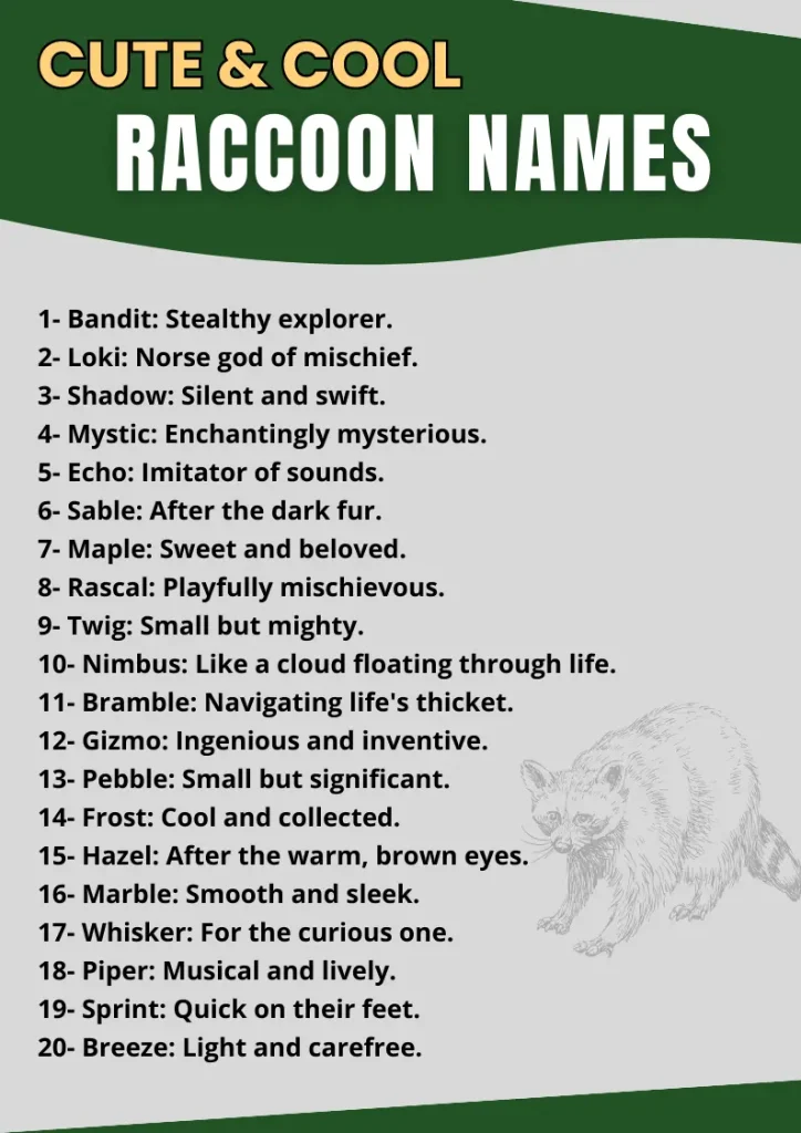 Cute & Cool Raccoon Names infographic
