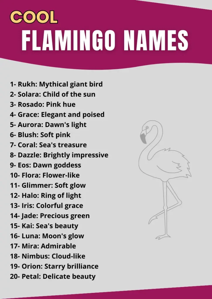 Flamingo Names infographic (1)