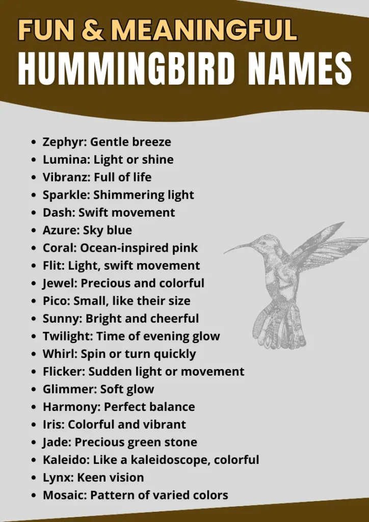 Hummingbird Names infographic
