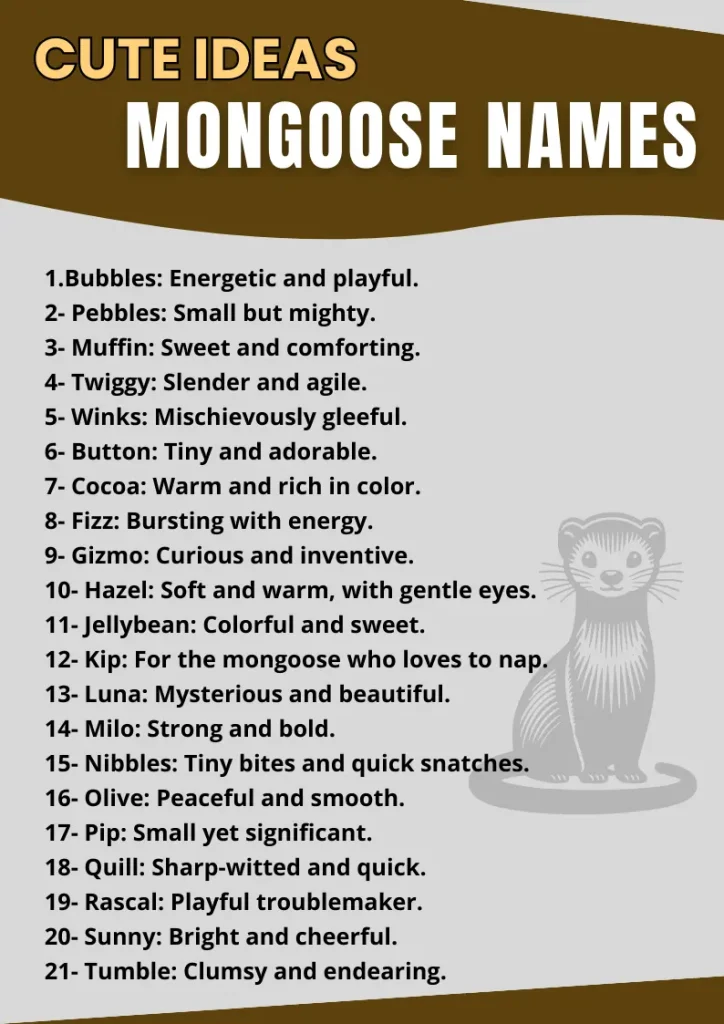 Mongoose Names infographic