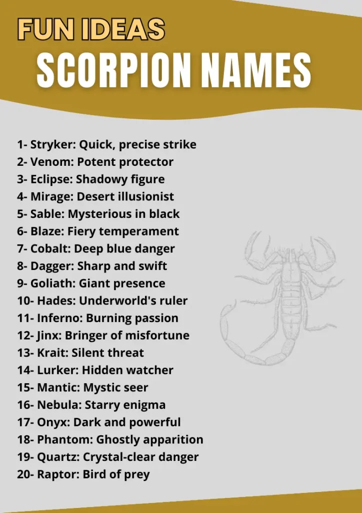 Scorpion Names infographic