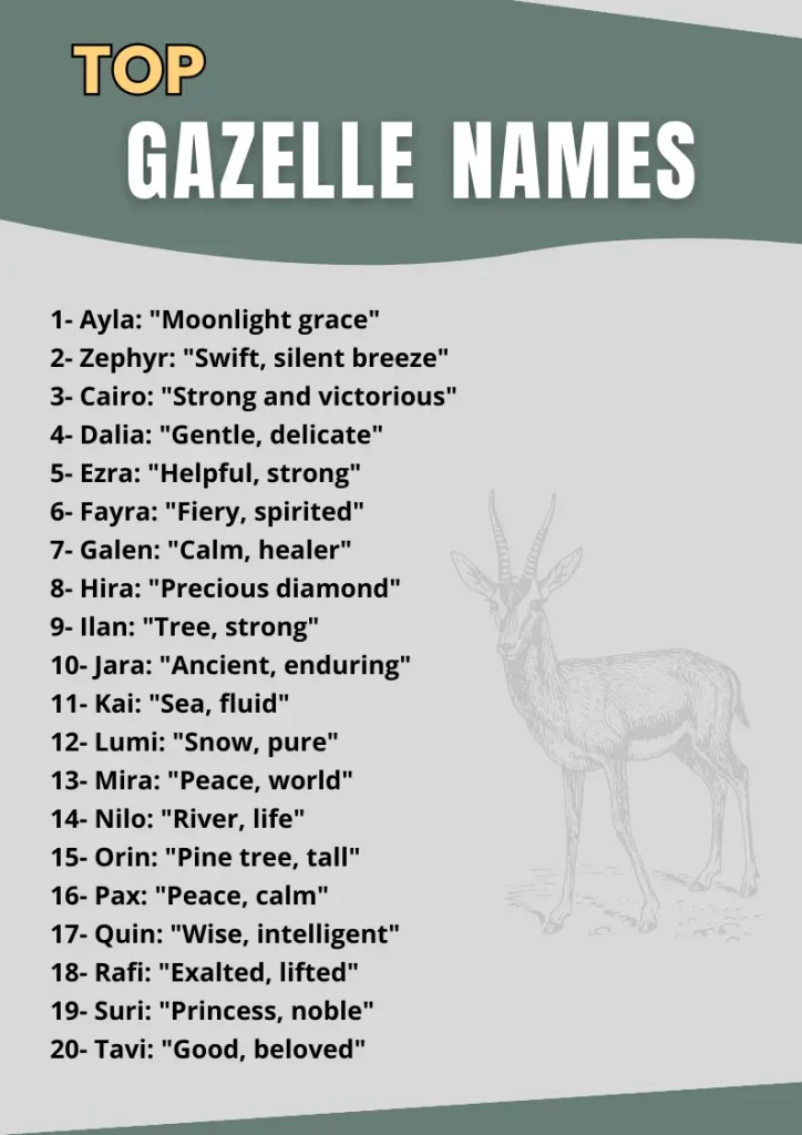 Top Gazelle Names infographic