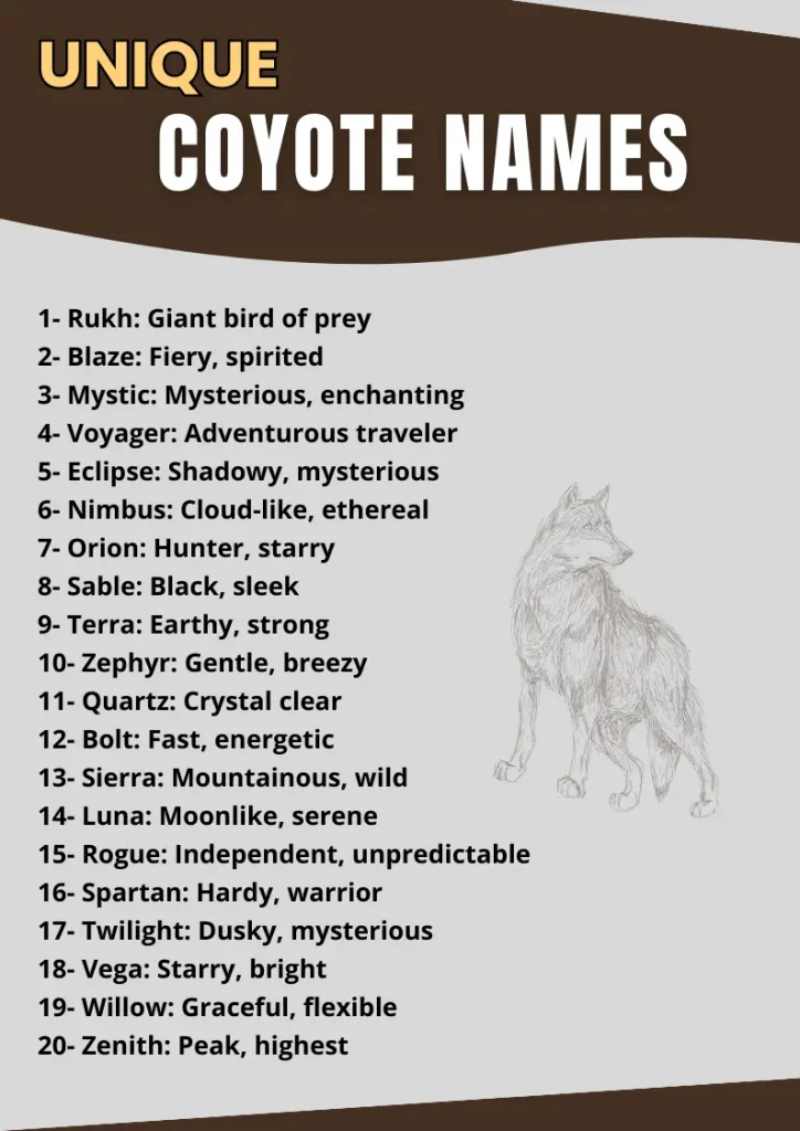 Unique Coyote Names infographic
