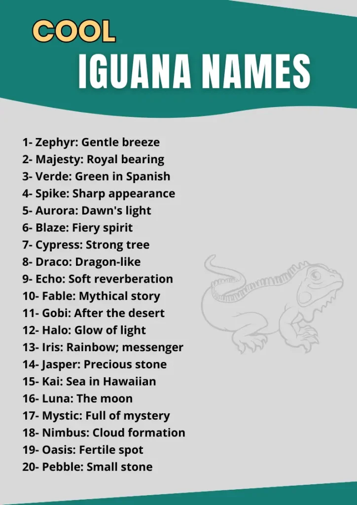 Cool Iguana Names infographic