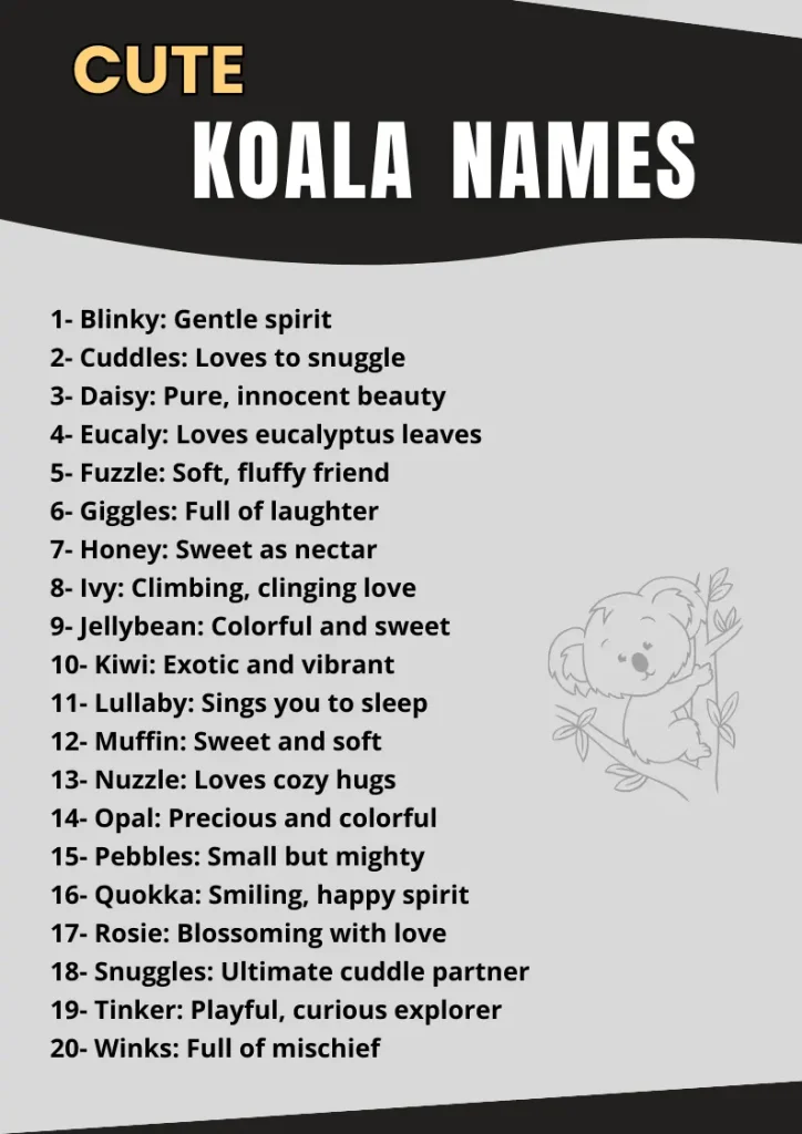 Cute Koala Names infographic