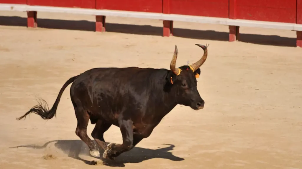 Cute Bull Names