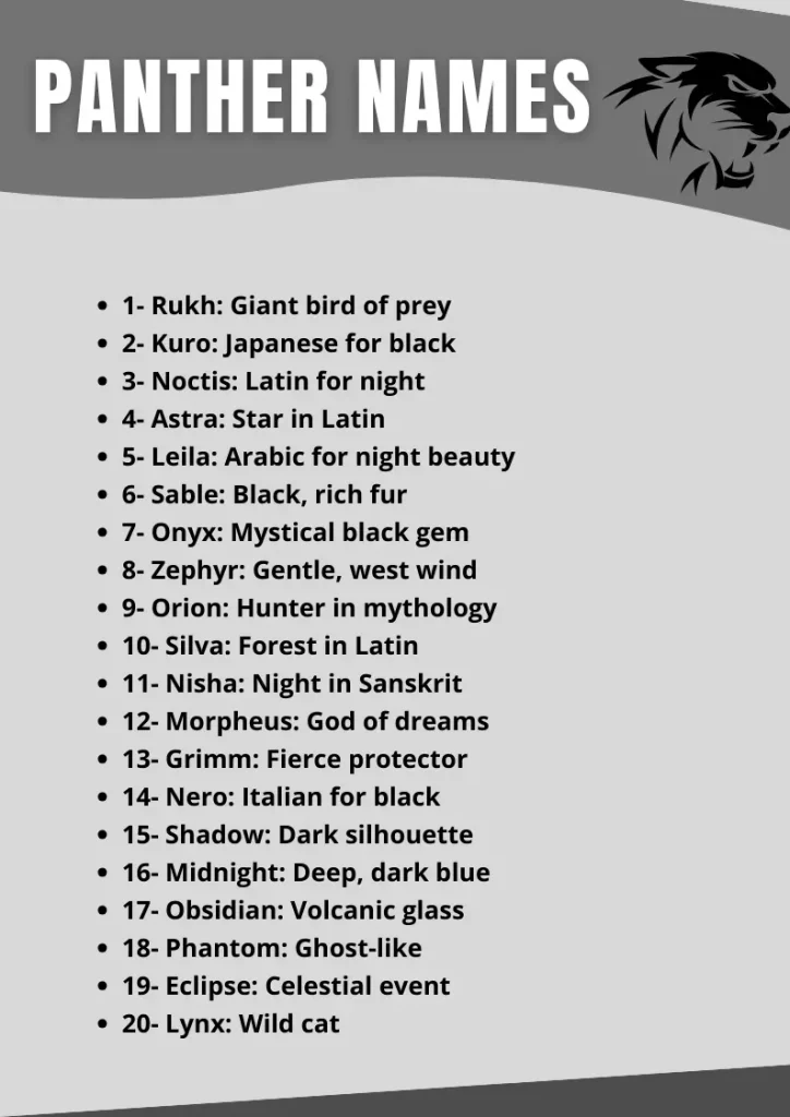 Panther Names With Meaning 