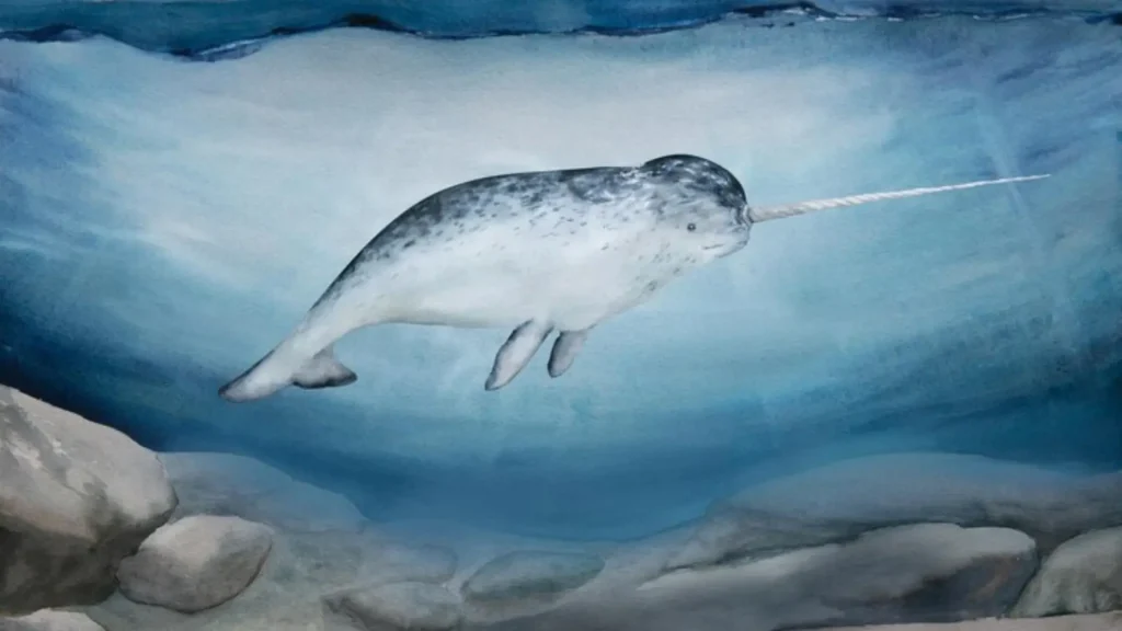 Cute Narwhal Names