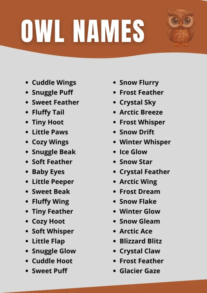 Frog Owl Names infographic
