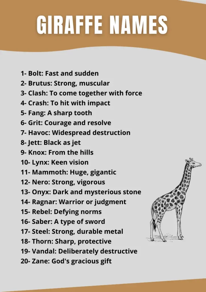 Giraffe Names infographic