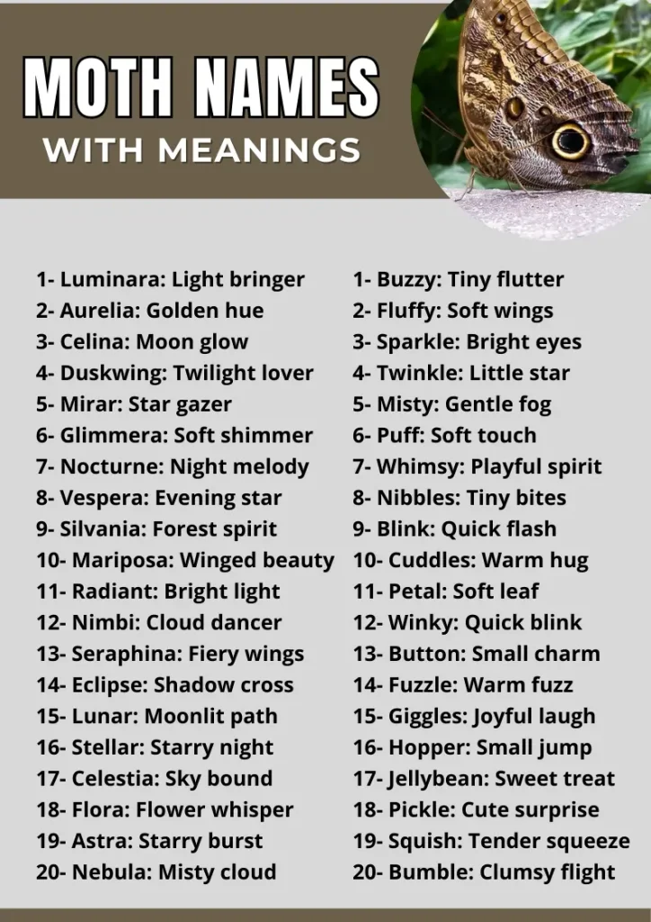 Moth Names infographic