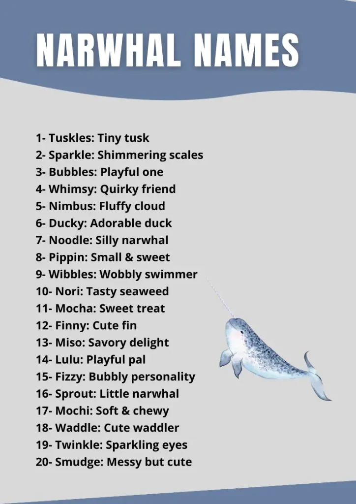 Narwhal Names infographic