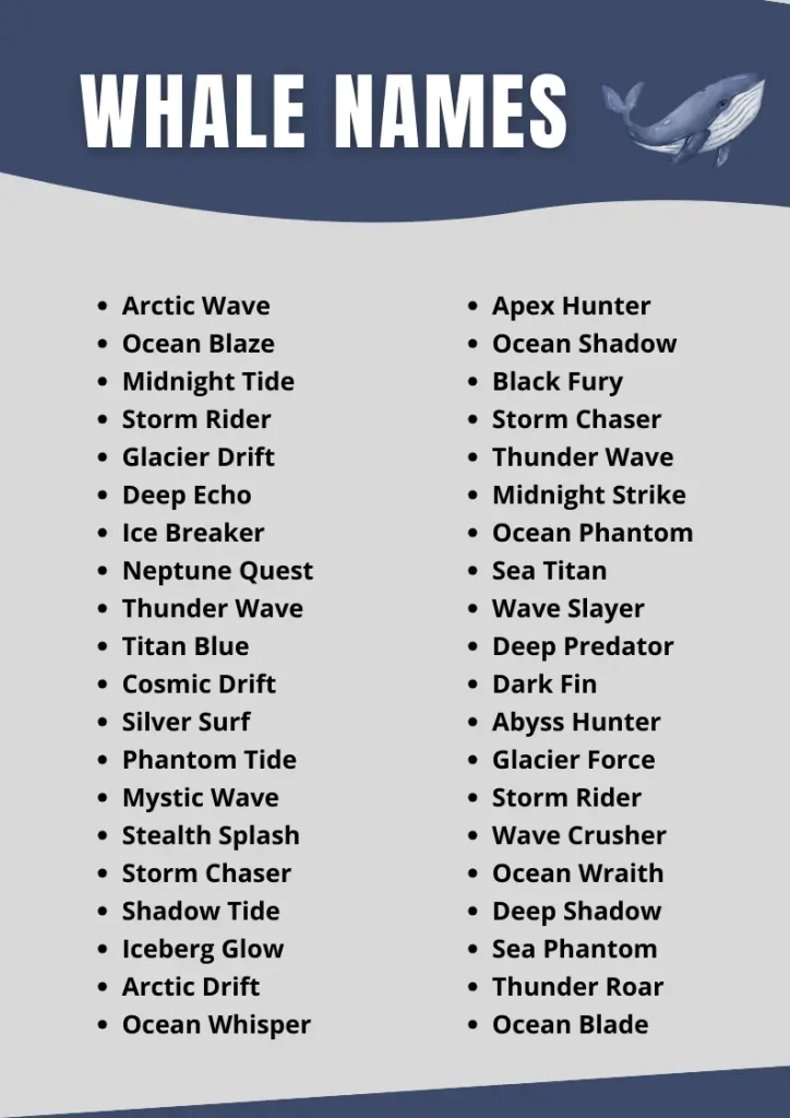 Whale Names infographic