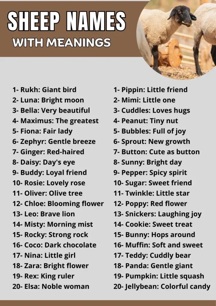 260+ Sheep Names with Meaning infographic