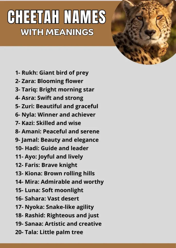Cheetah Names with Meaning infographic