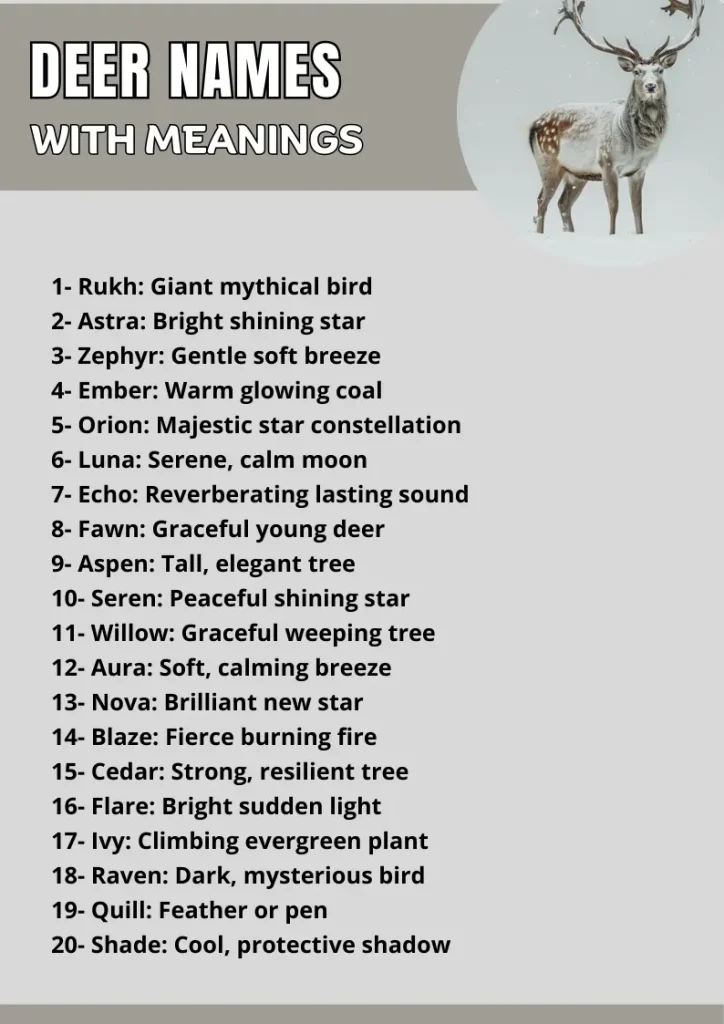 Deer Names  infographic (1)