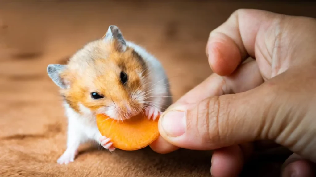 Unique Names for Hamster