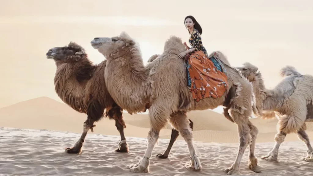 Cute Camel Names