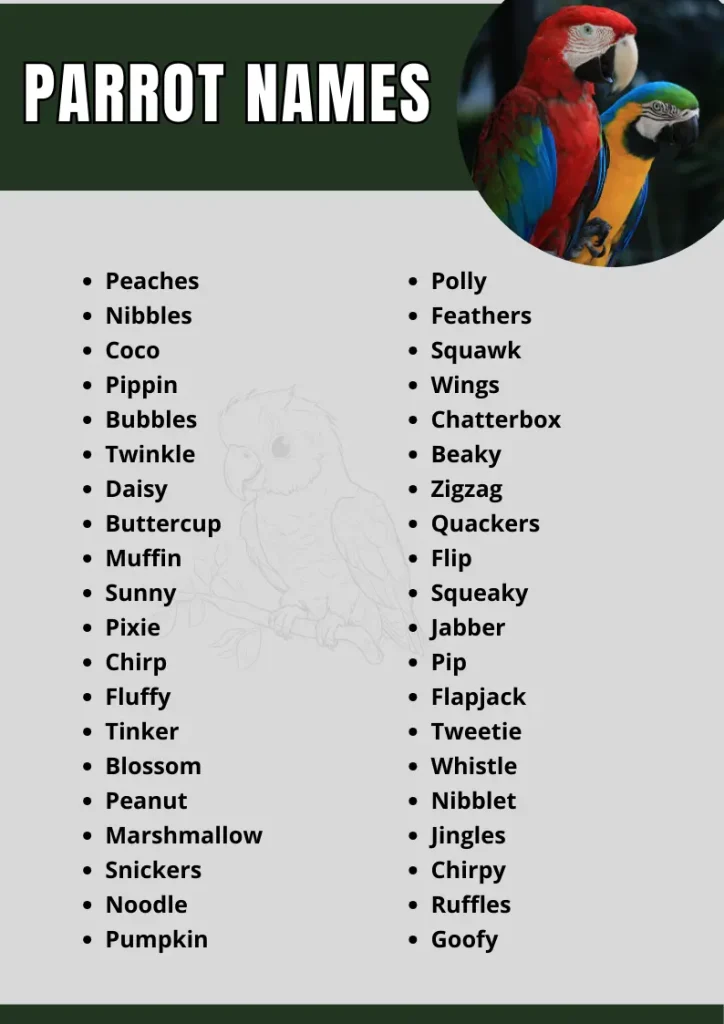 Parrot Names infographic