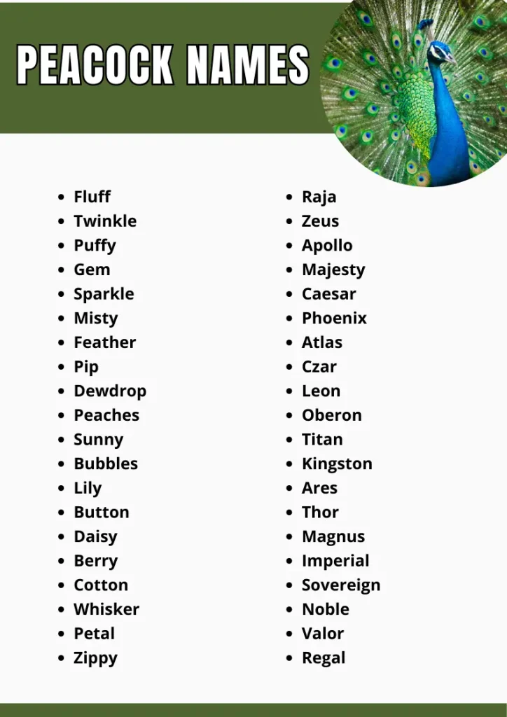 Peacock Names infograpic