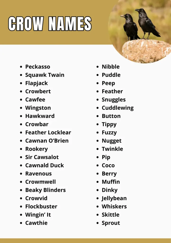 Crow Names infograpic