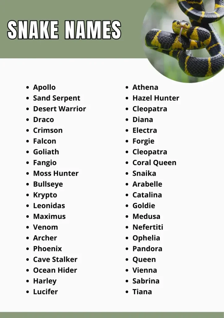 Snake Names infograpic