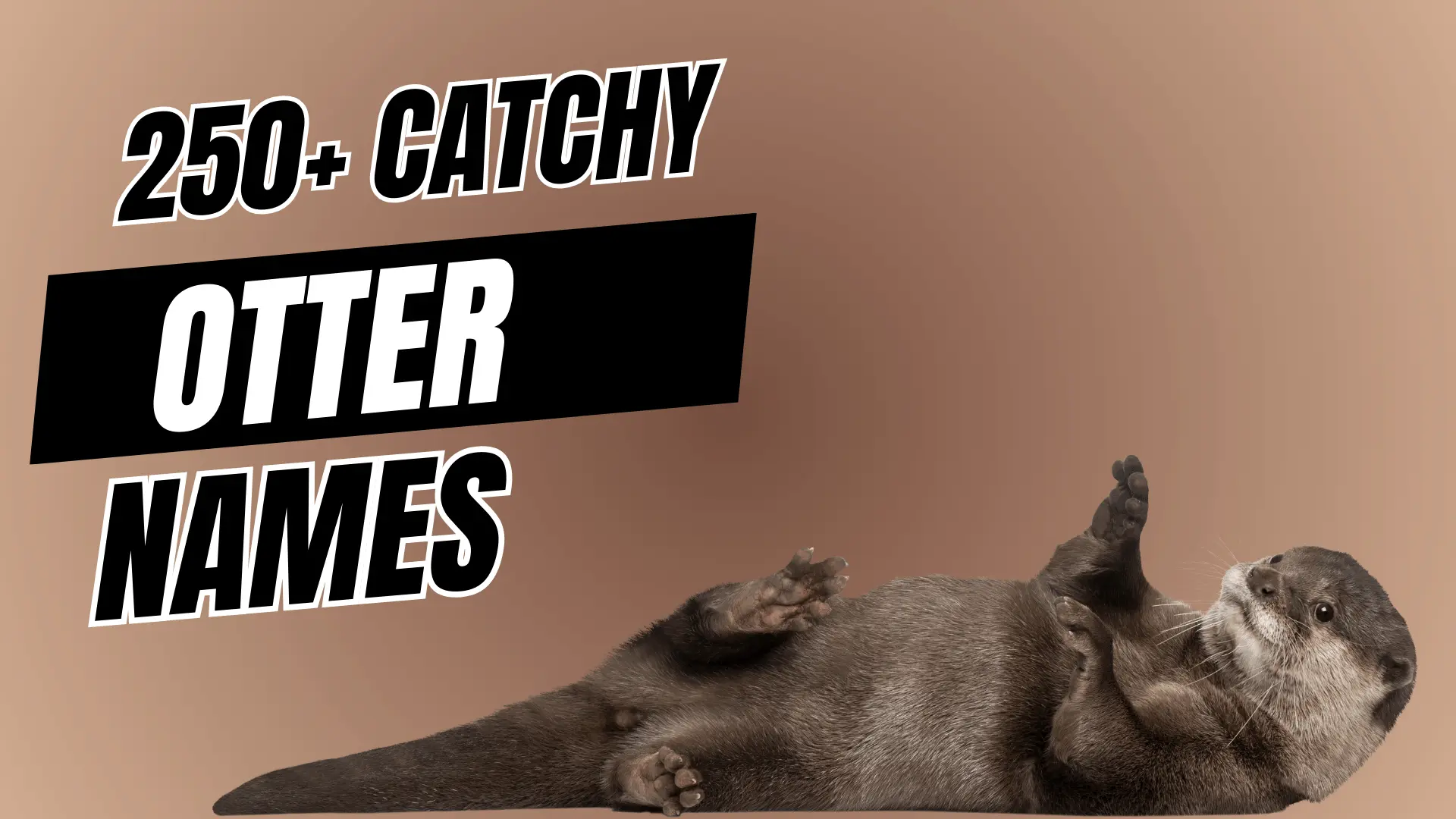 Catchy Otter Names