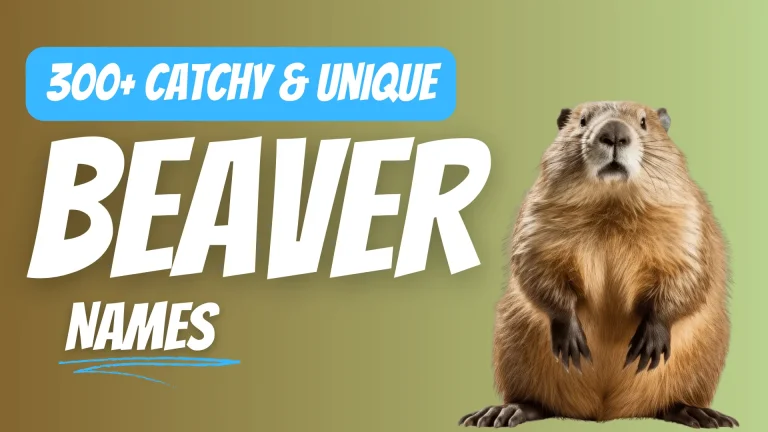 Catchy & Unique Beaver Names
