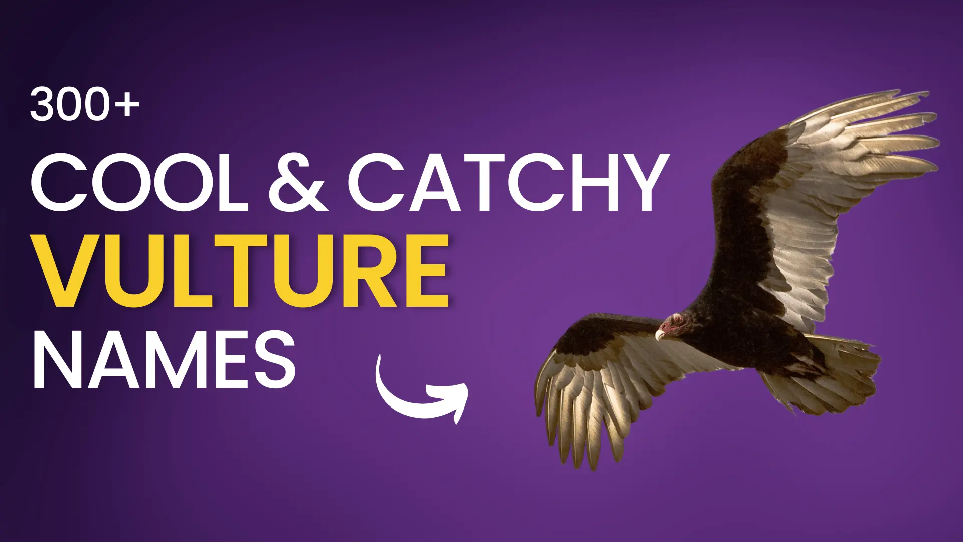 Cool & Catchy Vulture Names