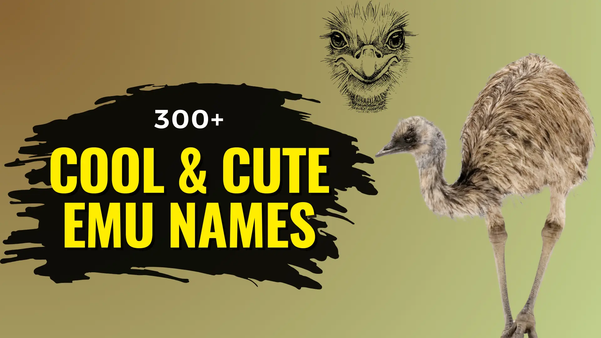 Cool & Cute Emu Names