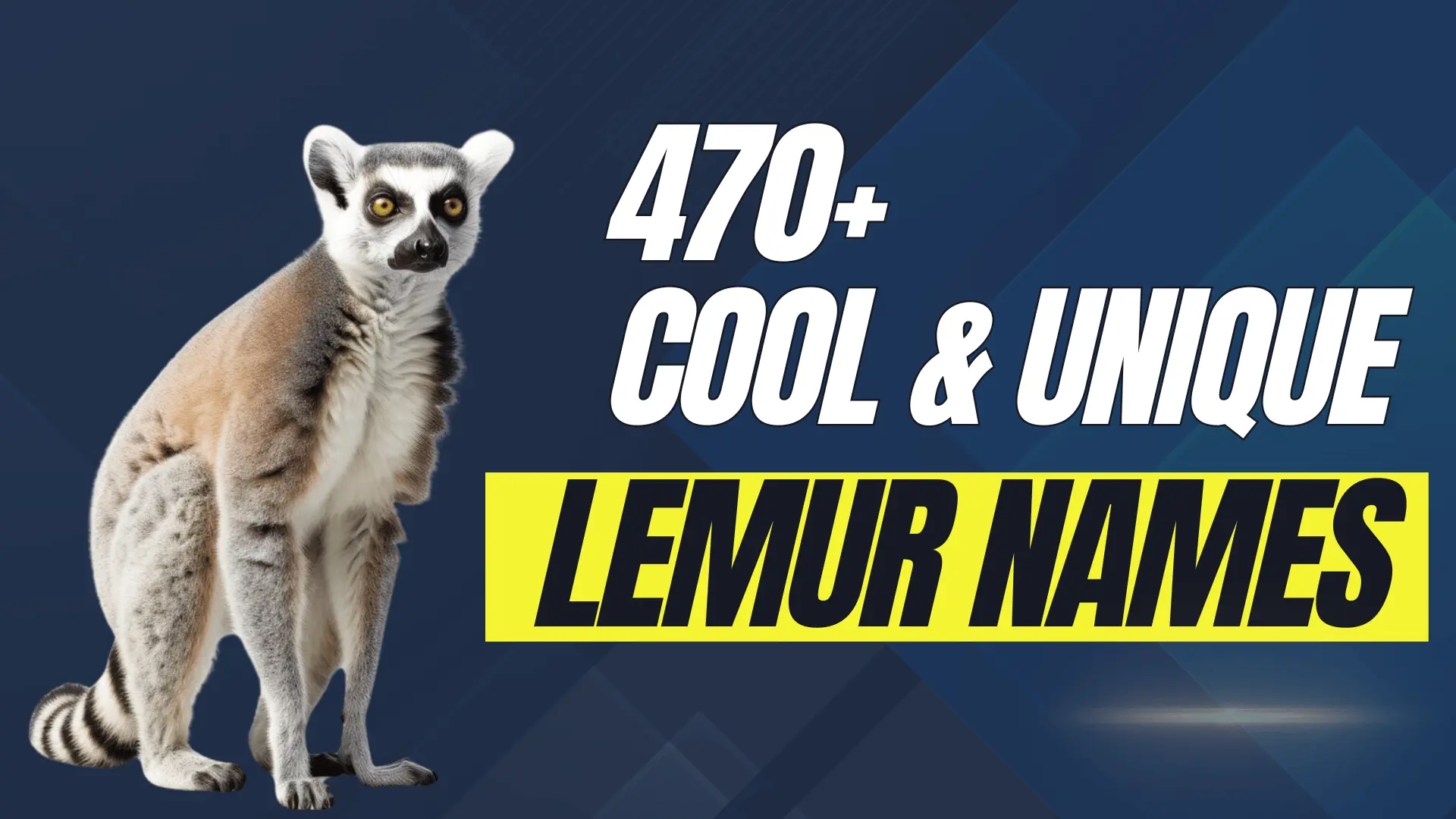 Cool & Unique Lemur Names