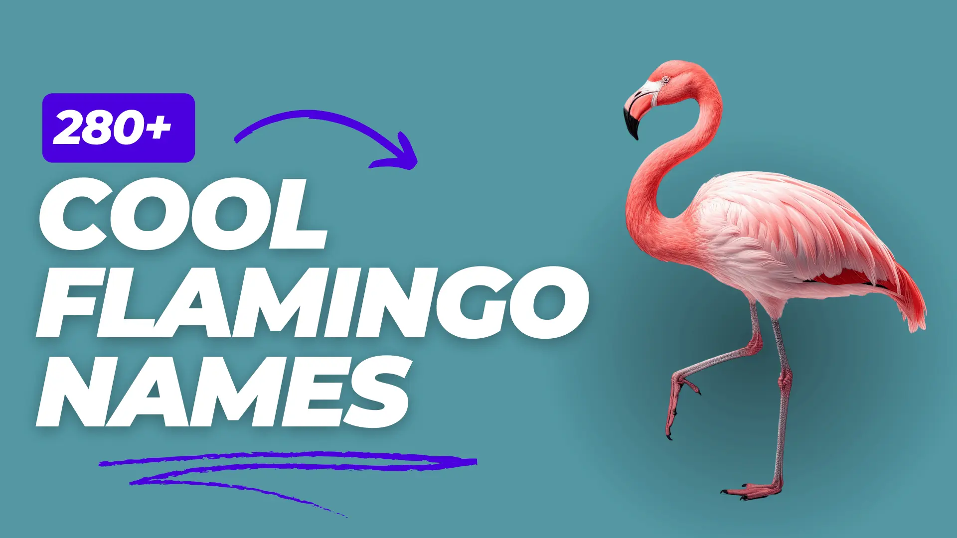 Flamingo Names namessprout