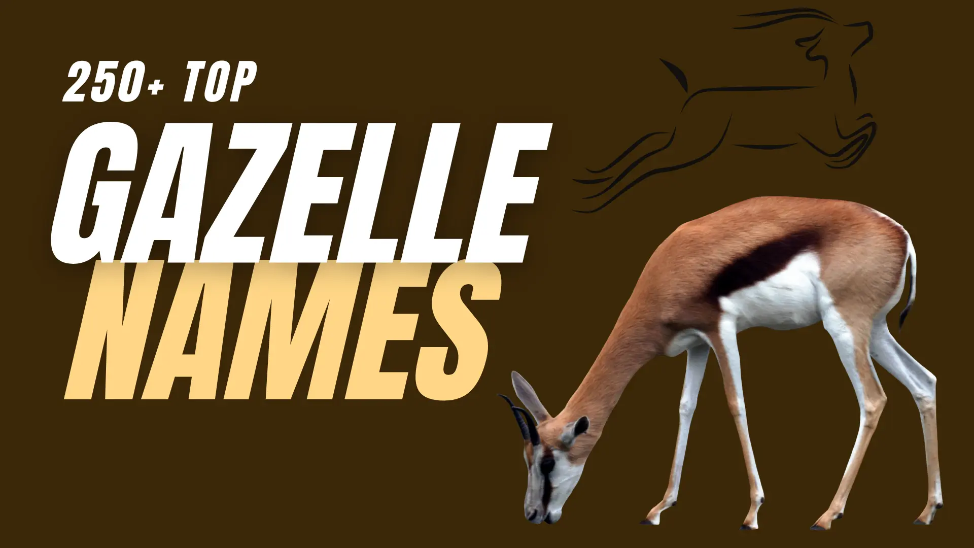 Top Gazelle Names