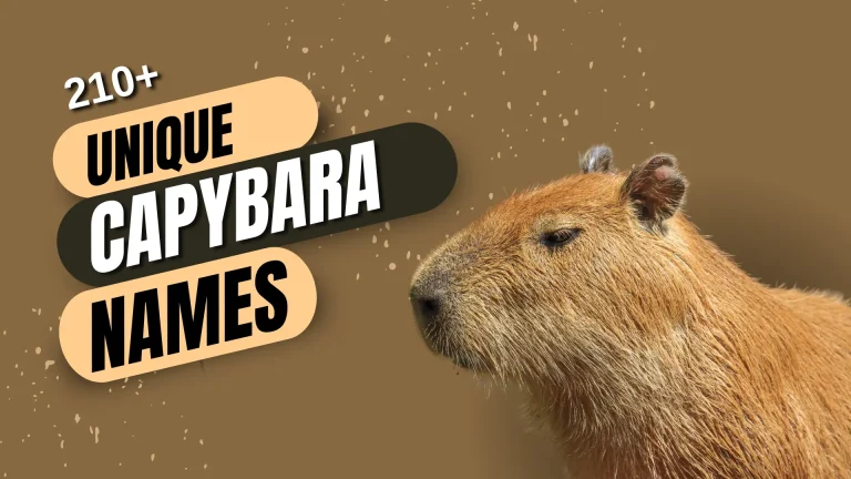 Unique Capybara Names