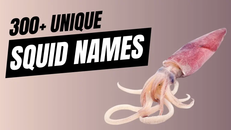 Unique Squid Names