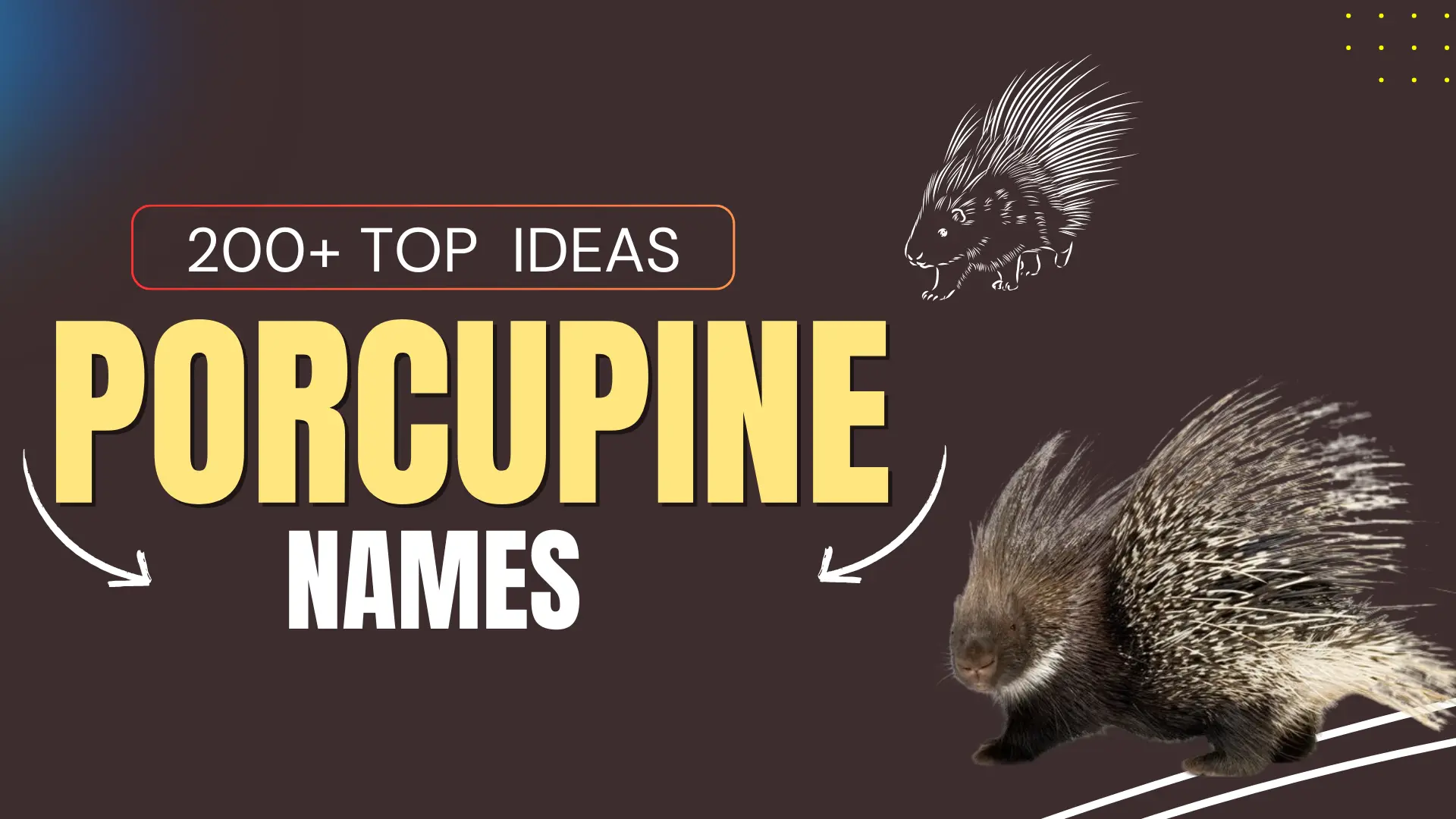 Top Porcupine Names