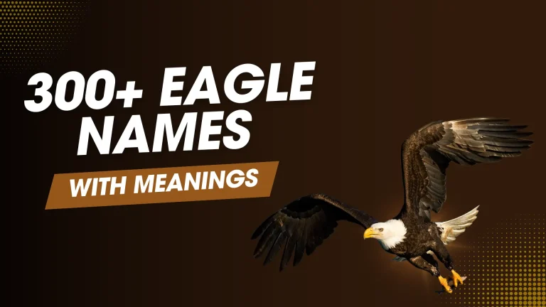 Eagle Names 