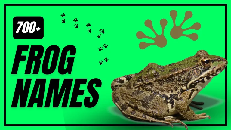Frog Names