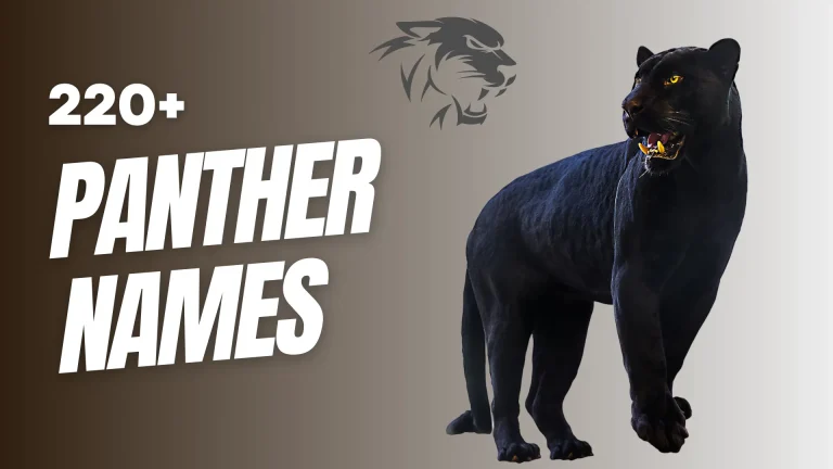 Panther Names With Meaning (+Generator)