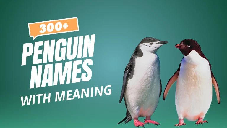 Penguin Names
