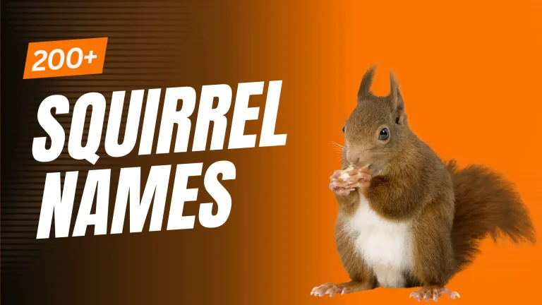 200+ Cute & Unique Squirrel Names with Meaning