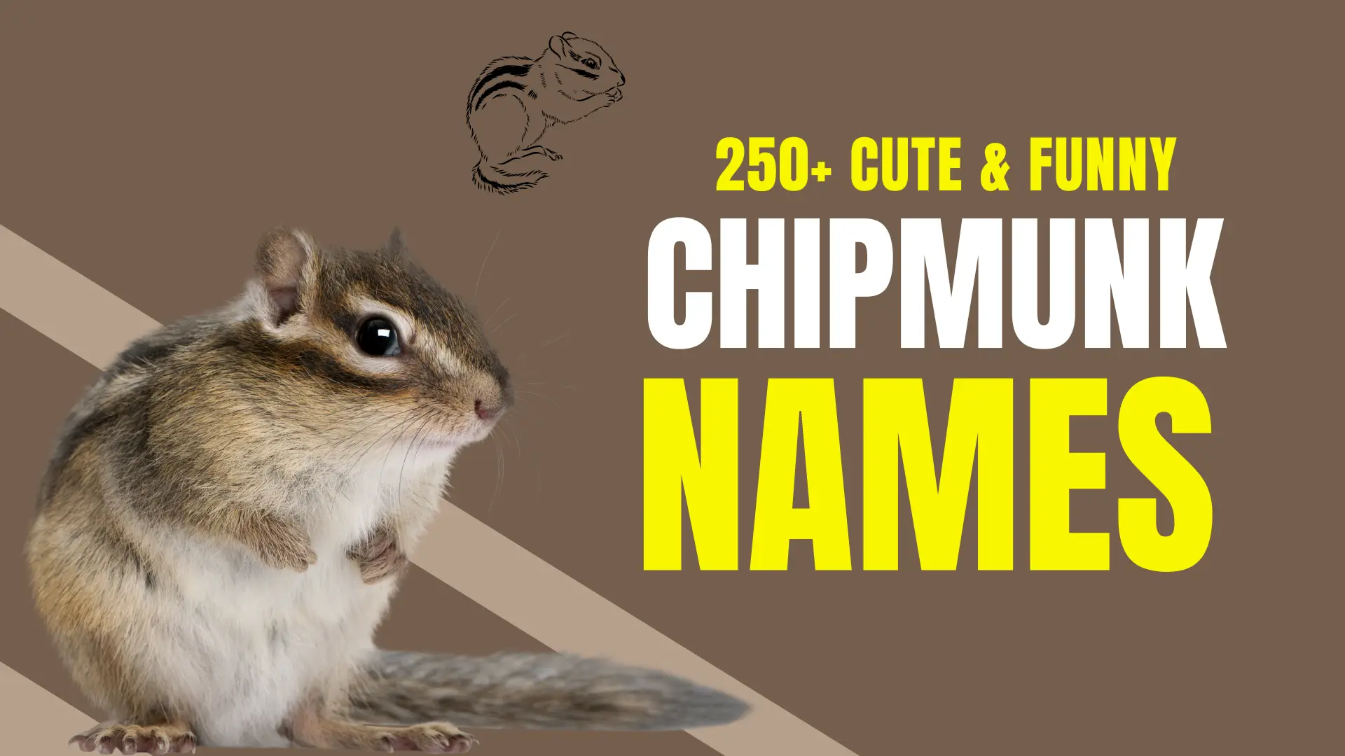 Chipmunk Names