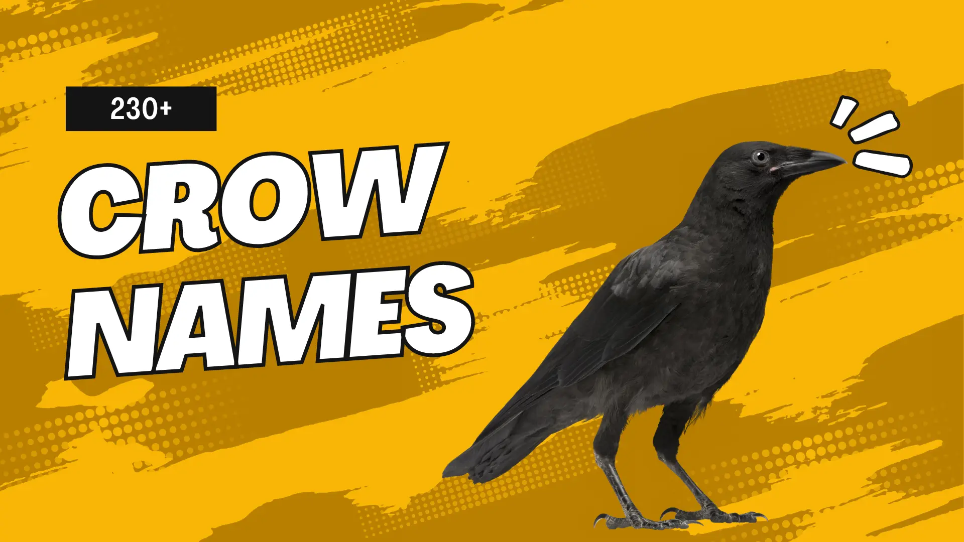 Crow Names