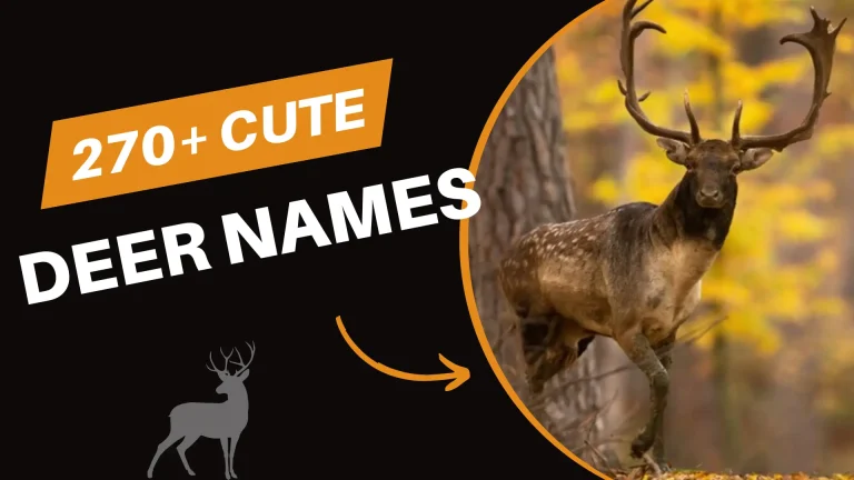 Cute Deer Names with Meaning
