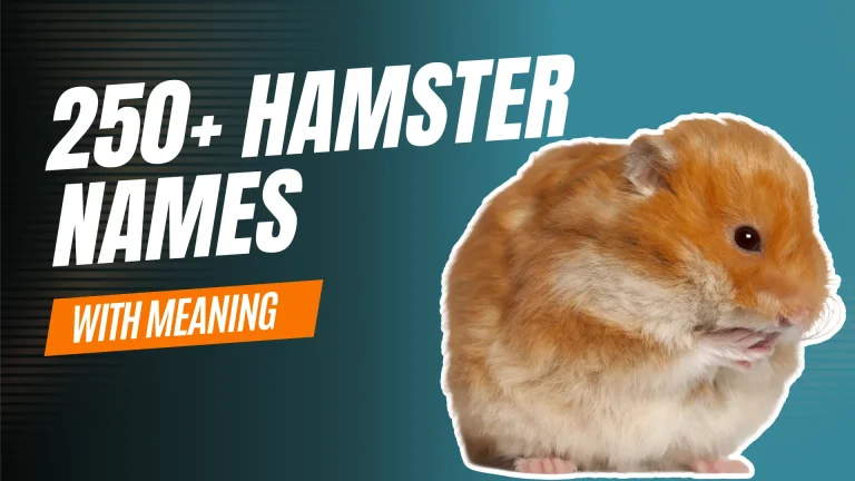 Hamster Names with Meaning