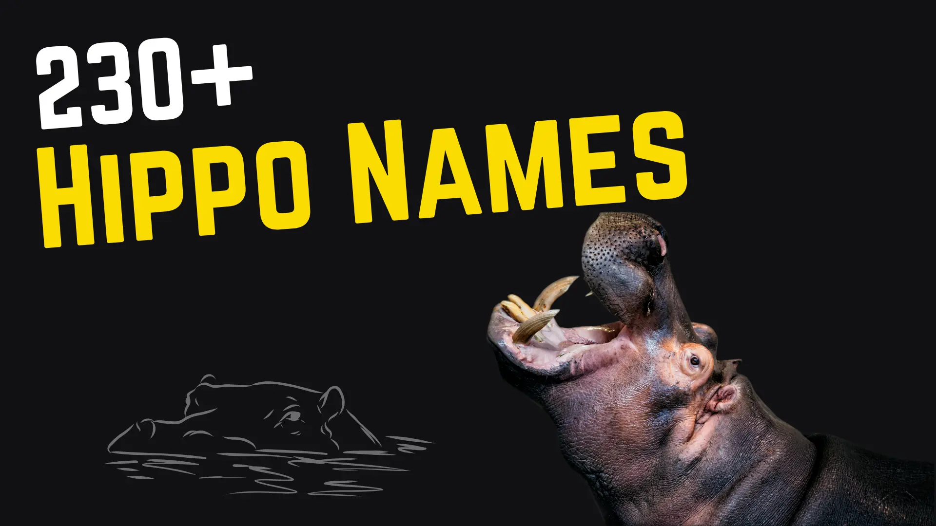 Hippo Names